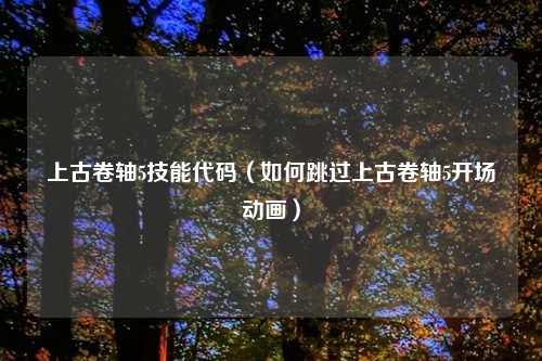 上古卷轴5技能代码（如何跳过上古卷轴5开场动画）