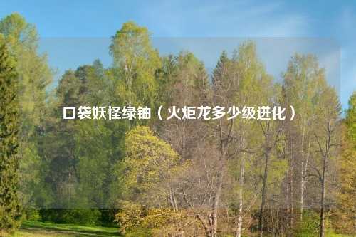 口袋妖怪绿铀（火炬龙多少级进化）