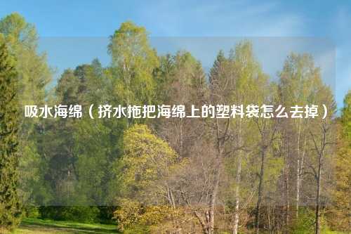 吸水海绵（挤水拖把海绵上的塑料袋怎么去掉）