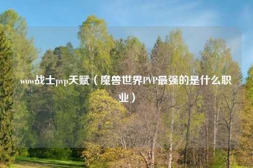 wow战士pvp天赋（魔兽世界PVP最强的是什么职业）