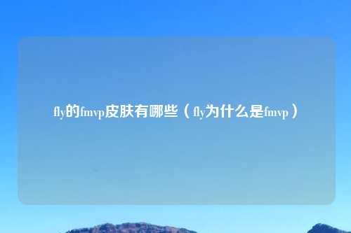 fly的fmvp皮肤有哪些(fly为什么是fmvp)