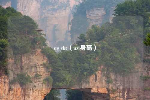 qg skt（uzi身高）
