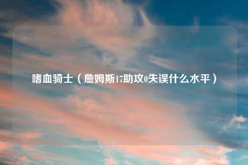 嗜血骑士（詹姆斯17助攻0失误什么水平）