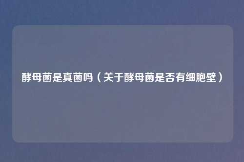 酵母菌是真菌吗（关于酵母菌是否有细胞壁）