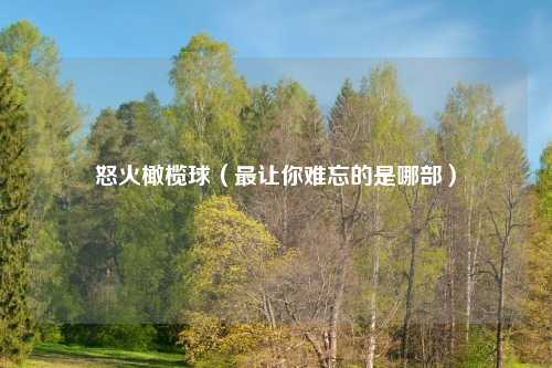 怒火橄榄球（最让你难忘的是哪部）