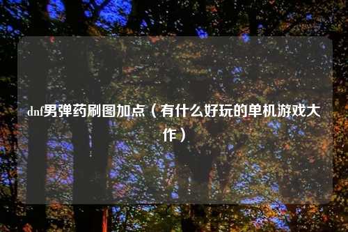 dnf男弹药刷图加点（有什么好玩的单机游戏大作）