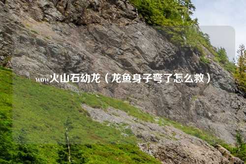 wow火山石幼龙(龙鱼身子弯了怎么救)