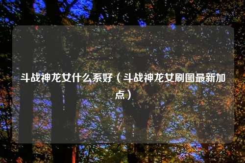 斗战神龙女什么系好（斗战神龙女刷图最新加点）