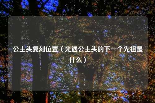 公主头复刻位置（光遇公主头的下一个先祖是什么）