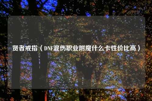 贤者戒指（DNF混伤职业附魔什么卡性价比高）