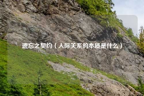遗忘之契约（人际关系的本质是什么）