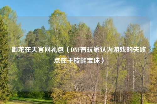 御龙在天官网礼包（DNF有玩家认为游戏的失败点在于技能宝珠）