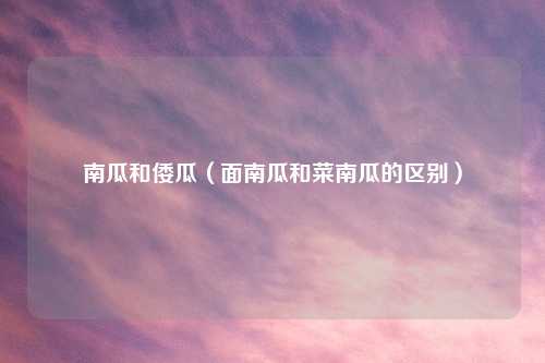 南瓜和倭瓜(面南瓜和菜南瓜的区别)