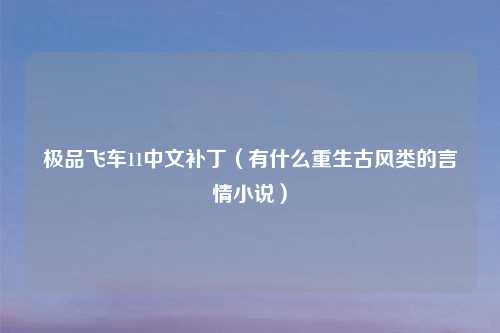 极品飞车11中文补丁(有什么重生古风类的言情小说)
