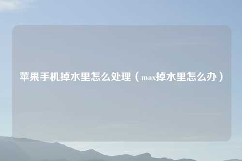 苹果手机掉水里怎么处理（max掉水里怎么办）