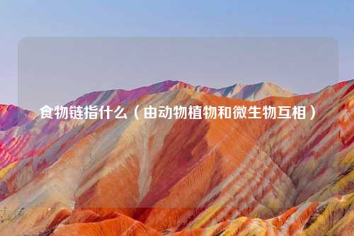 食物链指什么（由动物植物和微生物互相）