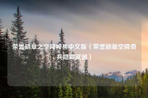 荣誉勋章之空降神兵中文版（荣誉勋章空降奇兵隐藏武器）
