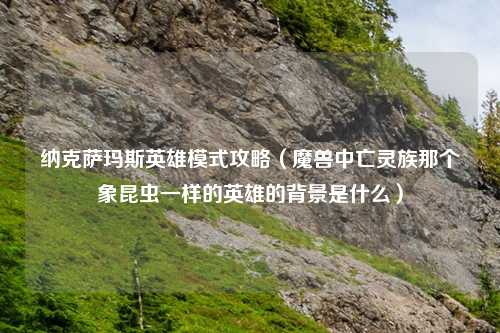 纳克萨玛斯英雄模式攻略（魔兽中亡灵族那个象昆虫一样的英雄的背景是什么）