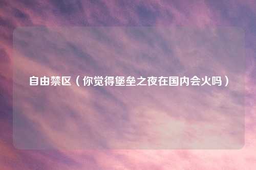 自由禁区（你觉得堡垒之夜在国内会火吗）