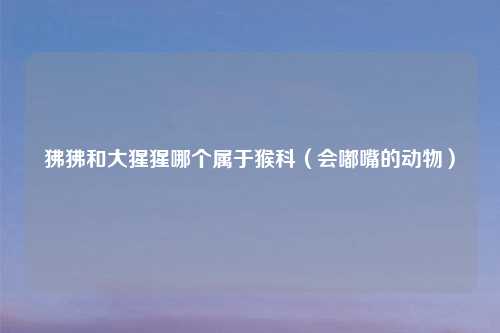 狒狒和大猩猩哪个属于猴科（会嘟嘴的动物）