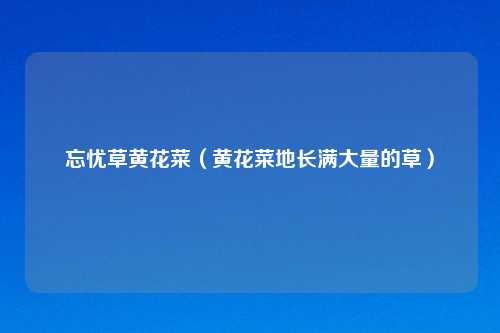 忘忧草黄花菜（黄花菜地长满大量的草）