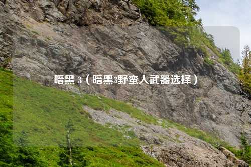 暗黑 3（暗黑3野蛮人武器选择）