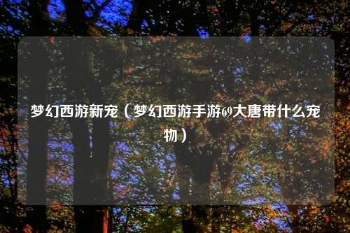 梦幻西游新宠（梦幻西游手游69大唐带什么宠物）