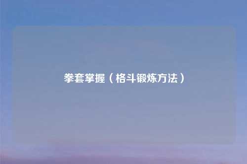 拳套掌握（格斗锻炼     ）