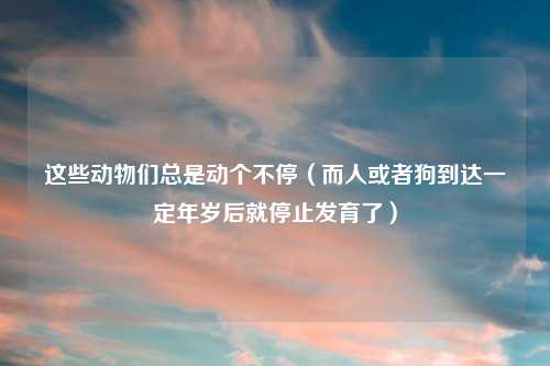 这些动物们总是动个不停（而人或者狗到达一定年岁后就停止发育了）