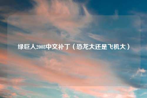 绿巨人2008中文补丁（恐龙大还是飞机大）