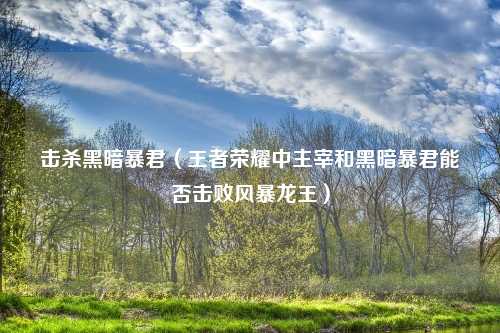 击杀黑暗暴君（王者荣耀中主宰和黑暗暴君能否击败风暴龙王）