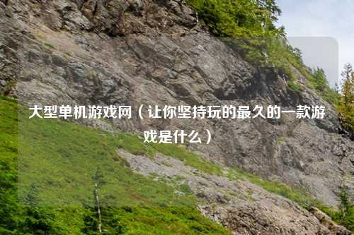 大型单机游戏网（让你坚持玩的最久的一款游戏是什么）
