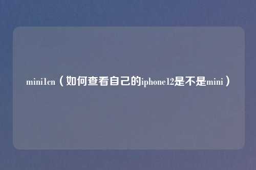 mini1cn（如何查看自己的iphone12是不是mini）
