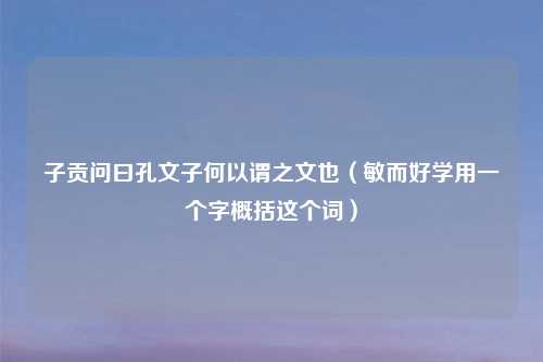 子贡问曰孔文子何以谓之文也(敏而好学用一个字概括这个词)