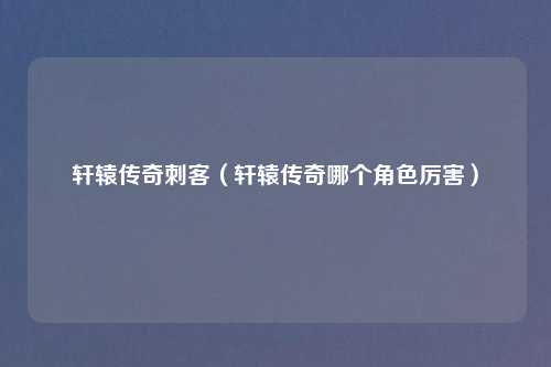 轩辕传奇刺客（轩辕传奇哪个角色厉害）