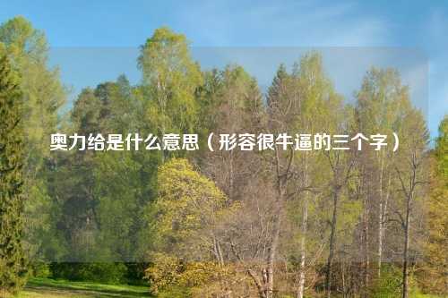 奥力给是什么意思（形容很牛逼的三个字）