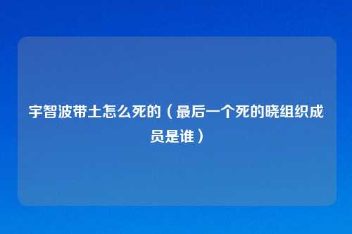 宇智波带土怎么死的(最后一个死的晓组织成员是谁)