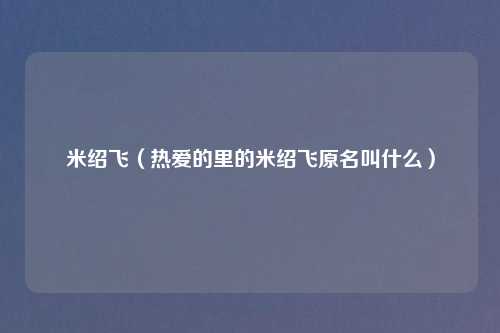 米绍飞(热爱的里的米绍飞原名叫什么)