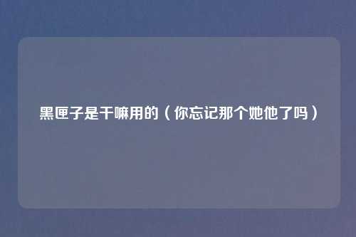 黑匣子是干嘛用的（你忘记那个她他了吗）