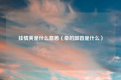 挂情黄是什么意思(牵的部首是什么)