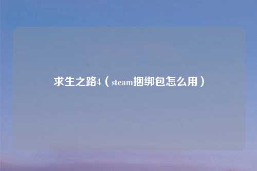 求生之路4（steam捆绑包怎么用）