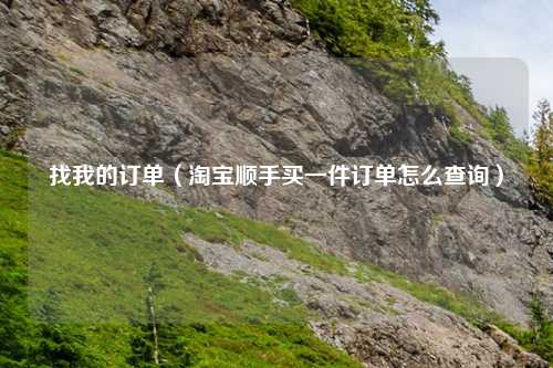 找我的订单( 顺手买一件订单怎么查询)