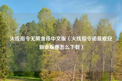 火线指令无限金币中文版（火线指令诺曼底安新卓版要怎么下载）