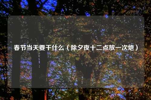 春节当天要干什么（除夕夜十二点放一次炮）