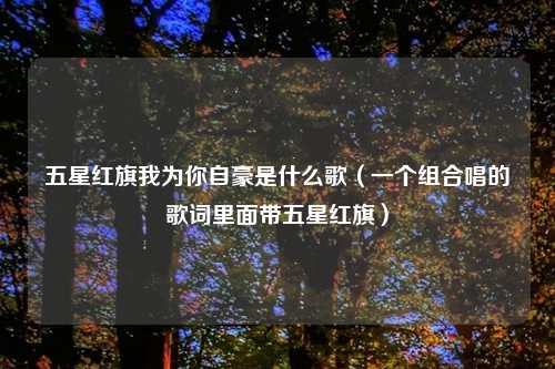 五星红旗我为你自豪是什么歌（一个组合唱的歌词里面带五星红旗）