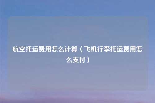 航空托运费用怎么计算(飞机行李托运费用怎么支付)