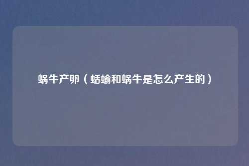 蜗牛产卵(蛞蝓和蜗牛是怎么产生的)