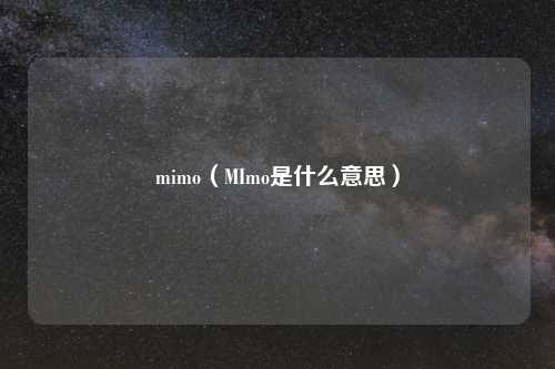 mimo（MImo是什么意思）