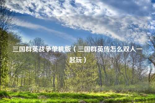 三国群英战争单机版（三国群英传怎么双人一起玩）