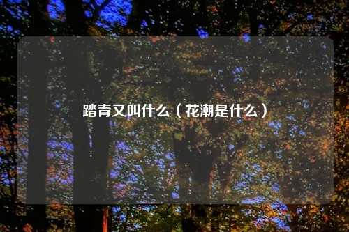 踏青又叫什么(花潮是什么)